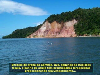 Encosta de argila da Gamboa, que, segundo as tradições locais, o banho de argila tem propriedades terapêuticas proporcionando rejuvenescimento...  