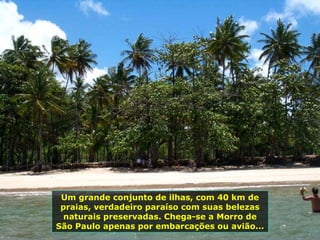 Um grande conjunto de ilhas, com 40 km de praias, verdadeiro paraíso com suas belezas naturais preservadas. Chega-se a Morro de São Paulo apenas por embarcações ou avião...  