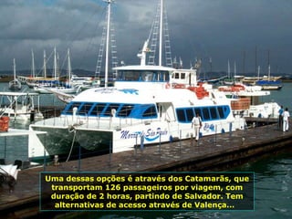 Uma dessas opções é através dos Catamarãs, que transportam 126 passageiros por viagem, com duração de 2 horas, partindo de Salvador. Tem alternativas de acesso através de Valença...  