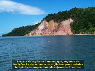Encosta de argila da Gamboa, que, segundo as tradições locais, o banho de argila tem propriedades terapêuticas proporcionando rejuvenescimento... 