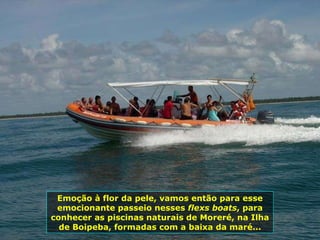 Emoção à flor da pele, vamos então para esse emocionante passeio nesses  flexs boats , para conhecer as piscinas naturais de Moreré, na Ilha de Boipeba, formadas com a baixa da maré... 