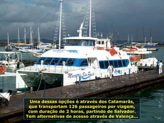 Uma dessas opções é através dos Catamarãs, que transportam 126 passageiros por viagem, com duração de 2 horas, partindo de Salvador. Tem alternativas de acesso através de Valença... 