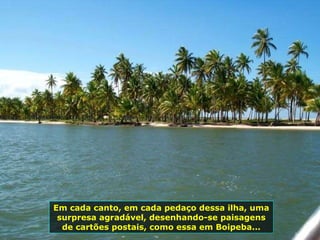 Em cada canto, em cada pedaço dessa ilha, uma surpresa agradável, desenhando-se paisagens de cartões postais, como essa em Boipeba... 