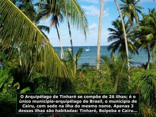 O Arquipélago de Tinharé se compõe de 26 ilhas; é o único município-arquipélago do Brasil, o município de Cairu, com sede na ilha do mesmo nome. Apenas 3 dessas ilhas são habitadas: Tinharé, Boipeba e Cairu... 