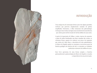 INTRODUÇÃO
Uma antiga área de mineração deixou para trás alguns paredões
rochosos que parecem simplesmente camadas de pedras
empilhadas. Entretanto, o olhar minucioso dos paleontólogos
revela que estas rochas carregam uma rica história de uma floresta
que cobriu parte do Rio Grande do Sul há milhões de anos atrás.
A partir de impressões de folhas e caules, marcas de sementes
e grãos de pólen fossilizados nas finas camadas das rochas, os
cientistas foram capazes de conhecer um pouco da vegetação
que existiu ali. Além disso, a descoberta do sítio paleobotânico
no Morro do Papaléo ajudou os cientistas a escreverem parte da
história geológica da América do Sul e a entender as condições
ambientais existentes há milhões de anos.
Este livro apresenta de uma forma simples a história
paleoambiental e paleontológica do Morro do Papaléo e ressalta
a importância da sua preservação.
15
 
