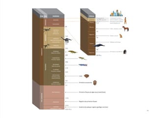 Idade dos anfíbios
Idade dos dinossauros
e das amonites
Idade dos
dinossauros
Primeiros dinossauros
Primeiros répteis
Idade dos peixes
Primeiros crinóides
Primeiros corais
Peixes primitivos
Idade dos trilobitas
Registro dos primeiros fósseis
Primeiros eucariontes
Coral
Primeiros fósseis de algas azuis (cianofíceas)
Ausência de qualquer registro geológico terrestre
Gatos, cervos
Baleias primitivas
Homo sapiens sapiens
Primeiros hominídeos
(australopitecos)
Civilização humana
Cães, cavalos, ursos
Primeiros mamíferos
Oligoceno
Pleistoceno
Plioceno
Holoceno
Mioceno
Eoceno
Paleoceno
CAMBRIANO
HADEANO
CRETÁCEO
NEOGENO
PALEOGENO
JURÁSSICO
TRIÁSSICO
PERMIANO
SILURIANO
ORDOVICIANO
PROTEROZOICO
ARQUEANO
PALEOZOICOCENOZOICOMOSOZOICO
ÉON ERA PERÍODO ÉPOCA
FANEROZOICOPRÉ-CAMBRIANO
FORMAÇÃO DA TERRA
CARBONÍFERO
DEVONIANO
5,3
10.000 anos
Presente
2,6
23
34
56
66 M.a.
2500
299
358
419
443
485
541
4000
4600 M.a.
145
252
201
66
21
 