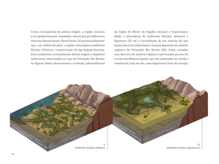 II.
Ambientes fluviais e deltaicos
III.
Ambientes úmidos e pantanosos
Como consequência do intenso degelo, a região começou
a ser gradativamente inundada e dominada por diferentes
sistemas deposicionais. Desta forma, há aproximadamente
295 e 290 mihões de anos, a região contemplava ambientes
fluviais, deltaicos e transicionais do tipo laguna-barreira.
Estes ambientes eventualmente deram origem a depósitos
carbonosos relacionados ao topo da Formação Rio Bonito.
As figuras abaixo demonstram a evolução paleoambiental
da região do Morro do Papaléo durante o Eopermiano,
desde a alternância de ambientes fluviais, deltaicos e
lagunares (II) até a consolidação de um sistema do tipo
laguna barreira relacionado à intensa deposição de matéria
orgânica da Formação Rio Bonito (III). Estas camadas
com alto teor de matéria orgânica representam pacotes de
carvão semelhantes àqueles que são explorados no estado e
constituem, hoje em dia, uma importante fonte de energia.
34
 