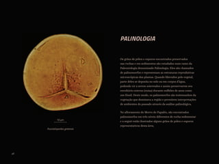 PALINOLOGIA
Os grãos de pólen e esporos encontrados preservados
nas rochas e em sedimentos são estudados num ramo da
Paleontologia denominado Palinologia. Eles são chamados
de palinomorfos e representam as estruturas reprodutivas
microscópicas das plantas. Quando liberados pelo vegetal,
parte deles se deposita no solo ou em corpos d’água,
podendo vir a serem soterrados e assim preservarem seu
envoltório externo (exina) durante milhões de anos como
um fóssil. Deste modo, os palinomorfos são testemunhos da
vegetação que dominava a região e permitem interpretações
de ambientes do passado através da análise palinológica.
No afloramento do Morro do Papaléo, são encontrados
palinomorfos em três níveis diferentes de rocha sedimentar
e a seguir estão ilustrados alguns grãos de pólen e esporos
representativos desta área.
Punctatisporites gretensis
10 µm
46
 