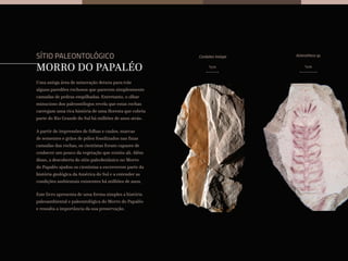 1cm
Cordaites hislopii
1cm
Asterotheca sp.
Uma antiga área de mineração deixou para trás
alguns paredões rochosos que parecem simplesmente
camadas de pedras empilhadas. Entretanto, o olhar
minucioso dos paleontólogos revela que estas rochas
carregam uma rica história de uma floresta que cobriu
parte do Rio Grande do Sul há milhões de anos atrás.
A partir de impressões de folhas e caules, marcas
de sementes e grãos de pólen fossilizados nas finas
camadas das rochas, os cientistas foram capazes de
conhecer um pouco da vegetação que existiu ali. Além
disso, a descoberta do sítio paleobotânico no Morro
do Papaléo ajudou os cientistas a escreverem parte da
história geológica da América do Sul e a entender as
condições ambientais existentes há milhões de anos.
Este livro apresenta de uma forma simples a história
paleoambiental e paleontológica do Morro do Papaléo
e ressalta a importância da sua preservação.
MORRO DO PAPALÉO
SÍTIO PALEONTOLÓGICO
 