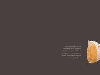 A história de uma floresta que
cobriu parte do Rio Grande do
Sul há mais de 280 milhões de
anos pode ser lida nas rochas de
Mariana Pimentel, basta observar
os detalhes...
 