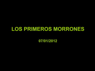 Morrones01