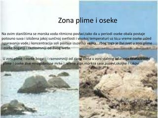 Zona plime i oseke 
Na ovim staništima se morska voda ritmicno povlaci,tako da u periodi oseke obala postaje 
potouno suva i izložena jakoj sunčnoj svetlosti i visokoj temperaturi uz to,u vreme oseke usled 
isparavanja vode,i koncentracija soli postaje izuzetno velika...zbog toga je živi svet u zoni plime 
i oseke bogatiji i raznovrsniji od živog sveta. 
U zoni plime I oseke bogatij I raznovrsniji od zivog sveta u zoni stalnog udaranja talasa,u zoni 
plime I oseke zive mnogobrojne mrke I zelene alge,morksa sase,puzevi,skoljke I rakovi 
 