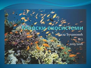 Мила Ђукановић
8/7
2015/2016
 