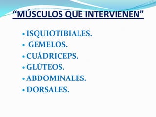 “MÚSCULOS QUE INTERVIENEN”
  ISQUIOTIBIALES.

  GEMELOS.
  CUÁDRICEPS.

  GLÚTEOS.

  ABDOMINALES.

  DORSALES.
 