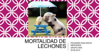 MORTALIDAD DE
LECHONES

PICHARDO DIAZ ROCIO
MERCEDES
GRUPO 2905
25-02-2014

 