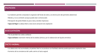 PALPACION:
• La medición permite comprobar la regresión del fondo de útero y la disminución del perímetro abdominal.
• Blando y no es contráctil, aunque puede estar contracturado.
• Percepción de partes fetales es poco clara y bordes imprecisos
• Signo de Negri: la cabeza fetal a veces da la sensación de crepitación
AUSCULATACION:
• No se perciben los ruidos cardiacos
• Signo de Boero: trasmisión intensa de los latidos aórticos, por la reabsorción de liquido amniótico
TACTO VAGINAL:
• La cabeza esta mal acomodada y el peloteo fetal no se produce con facilidad; además puede apreciarse crepitación ósea
• Aumento de la consistencia del cuello uterino al tacto vaginal
 