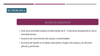 ECOGRAFIA
La ventaja de este método reside en la precocidad con la que se puede
establecer el diagnóstico.
• Cese de la actividad cardiaca (visible desde las 6 – 8 semanas de gestación) y de la
actividad aórtica.
• Ausencia de movimientos del cuerpo o extremidades
• Acumulo de líquido en el tejido subcutáneo, imagen de anasarca, de derrame
pleural y peritoneal.
 