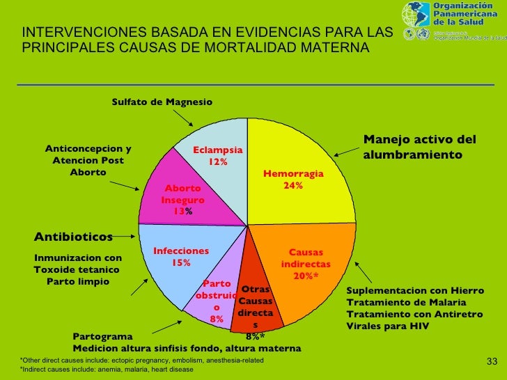 Principales Causas De Morbimortalidad Materno Infantil