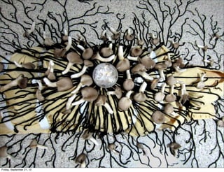 Friday, September 21, 12

 