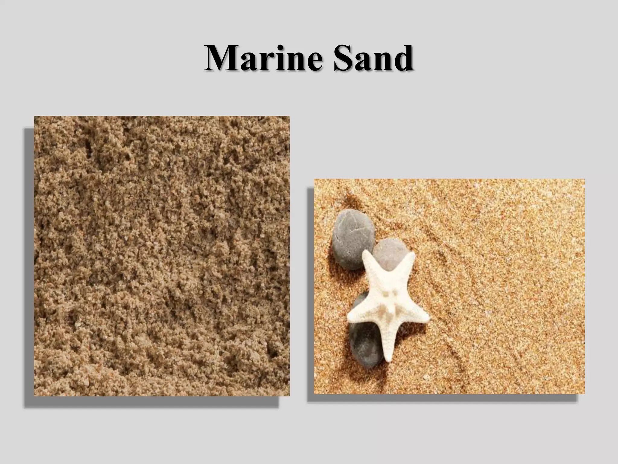 Marine Sand
 