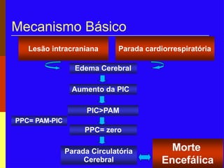 Mecanismo Básico
Morte
Encefálica
Parada cardiorrespiratória
Lesão intracraniana
Edema Cerebral
Aumento da PIC
PIC>PAM
PPC= zero
PPC= PAM-PIC
Parada Circulatória
Cerebral
 