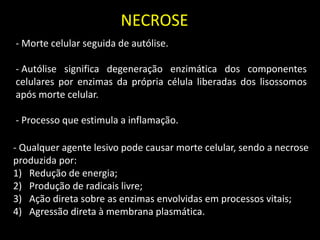 NECROSE
- Morte celular seguida de autólise.
- Autólise significa degeneração enzimática dos componentes
celulares por enzimas da própria célula liberadas dos lisossomos
após morte celular.
- Processo que estimula a inflamação.

- Qualquer agente lesivo pode causar morte celular, sendo a necrose
produzida por:
1) Redução de energia;
2) Produção de radicais livre;
3) Ação direta sobre as enzimas envolvidas em processos vitais;
4) Agressão direta à membrana plasmática.

 