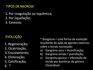 TIPOS DE NECROSE
1. Por coagulação ou isquêmica;
2. Por liquefação;
3. Caseosa;

EVOLUÇÃO
1. Regeneração;
2. Cicatrização;
3. Encistamento;
4. Eliminação;
5. Calcificação;
6. *

* Gangrena = uma forma de evolução
resultante da ação de agentes externos
sobre o tecido necrosado:
a) Gangrena seca = mumificação;
b) Gangrena úmida = putrefação;
c) Gangrena gasosa = infestação do
tecido por bactérias do gênero
Clostridium

 