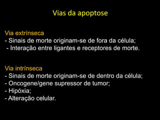 Vias da apoptose
Via extrínseca
- Sinais de morte originam-se de fora da célula;
- Interação entre ligantes e receptores de morte.
Via intrínseca
- Sinais de morte originam-se de dentro da célula;
- Oncogene/gene supressor de tumor;
- Hipóxia;
- Alteração celular.

 