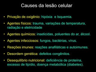 Causes da lesão celular
• Privação de oxigênio: hipóxia e Isquemia.

• Agentes físicos: trauma, variações de temperatura,
radiação e eletricidade
• Agentes químicos: inseticidas, poluentes do ar, álcool.
• Agentes infecciosos: fungos, bactérias, vírus.

• Reações imunes: reações anafiláticas e autoimunes.
• Desordem genética: defeitos congênitos.

• Desequilíbrio nutricional: deficiência de proteína,
excesso de lípídio, doença metabólica (diabetes).

 