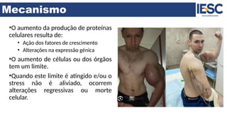 Mecanismo
•O aumento da produção de proteínas
celulares resulta de:
• Ação dos fatores de crescimento
• Alterações na expressão génica
•O aumento de células ou dos órgãos
tem um limite.
•Quando este limite é atingido e/ou o
stress não é aliviado, ocorrem
alterações regressivas ou morte
celular.
 