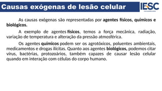 Causas exógenas de lesão celular
As causas exógenas são representadas por agentes físicos, químicos e
biológicos.
A exemplo de agentes físicos, temos a força mecânica, radiação,
variação de temperatura e alteração da pressão atmosférica.
Os agentes químicos podem ser os agrotóxicos, poluentes ambientais,
medicamentos e drogas ilícitas. Quanto aos agentes biológicos, podemos citar
vírus, bactérias, protozoários, também capazes de causar lesão celular
quando em interação com células do corpo humano.
 
