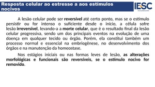 Resposta celular ao estresse a aos estímulos
nocivos
A lesão celular pode ser reversível até certo ponto, mas se o estímulo
persistir ou for intenso o suficiente desde o início, a célula sofre
lesão irreversível, levando-a a morte celular, que é o resultado final da lesão
celular progressiva, sendo um dos principais eventos na evolução de uma
doença em qualquer tecido ou órgão. Porém, ela constitui também um
processo normal e essencial na embriogênese, no desenvolvimento dos
órgãos e na manutenção da homeostase.
Nos estágios iniciais ou nas formas leves de lesão, as alterações
morfológicas e funcionais são reversíveis, se o estímulo nocivo for
removido.
 