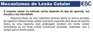 Mecanismos de Lesão Celular
A resposta celular ao estímulo nocivo depende do tipo de agressão, sua
duração e sua intensidade.
Pequenas doses de uma substância química tóxica ou breves períodos
de isquemia induzem lesão celular reversível, enquanto altas doses do mesmo
tóxico ou uma isquemia mais prolongada resultam em morte celular
instantânea ou em lesão celular irreversível arrastada, evoluindo, com o
tempo, para a morte celular.
 