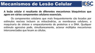 Mecanismos de Lesão Celular
A lesão celular é resultante de diferentes mecanismos bioquímicos que
agem em vários componentes celulares essenciais.
Os componentes celulares que mais frequentemente são lesados por
estímulos nocivos incluem as mitocôndrias, as membranas celulares, a
maquinaria de síntese e empacotamento de proteínas e o DNA. Qualquer
estímulo agressivo pode, simultaneamente, acionar múltiplos mecanismos
interconectados que lesam as células.
 