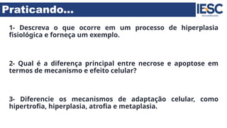 Praticando...
1- Descreva o que ocorre em um processo de hiperplasia
fisiológica e forneça um exemplo.
2- Qual é a diferença principal entre necrose e apoptose em
termos de mecanismo e efeito celular?
3- Diferencie os mecanismos de adaptação celular, como
hipertrofia, hiperplasia, atrofia e metaplasia.
 