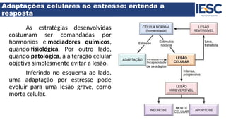 Adaptações celulares ao estresse: entenda a
resposta
As estratégias desenvolvidas
costumam ser comandadas por
hormônios e mediadores químicos,
quando fisiológica. Por outro lado,
quando patológica, a alteração celular
objetiva simplesmente evitar a lesão.
Inferindo no esquema ao lado,
uma adaptação por estresse pode
evoluir para uma lesão grave, como
morte celular.
 