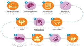 MORTE ENCEFÁLICA de pacientes........pdf