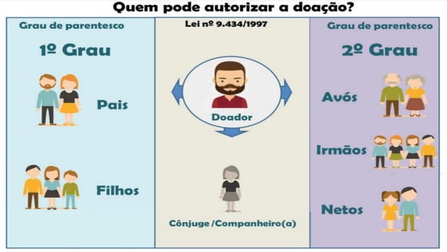 MORTE ENCEFÁLICA de pacientes........pdf