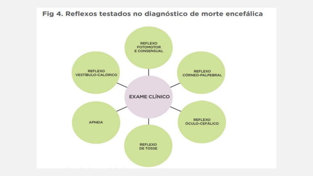 MORTE ENCEFÁLICA de pacientes........pdf