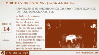 • APARECEM E SE APROXIMAM DA CASA DO HOMEM VIZINHOS,
AMIGOS, DUAS CIGANAS, ETC.
RESUMO DA PEÇA
MORTE E VIDA SEVERINA – João Cabral de Melo Neto
Prof. JOSÉ RICARDO LIMA
TRECHO
14
— Todo o céu e a terra
lhe cantam louvor.
Foi por ele que a maré
esta noite não baixou.
— Foi por ele que a maré
fez parar o seu motor:
a lama ficou coberta
e o mau-cheiro não voou.
— E a alfazema do sargaço,
ácida, desinfetante,
veio varrer nossas ruas
enviada do mar distante.
arbusto
 