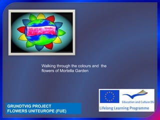 Walking through the colours and  the flowers of Mortella Garden  GRUNDTVIG PROJECTFLOWERS UNITEUROPE (FUE) 