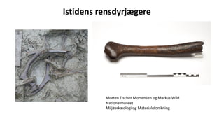Istidens rensdyrjægere
Morten Fischer Mortensen og Markus Wild
Nationalmuseet
Miljøarkæologi og Materialeforskning
 