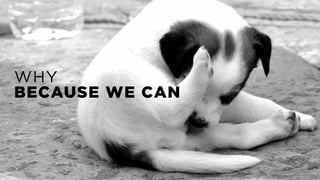 WHY
BECAUSE WE CAN
POSHTEL INT. /07
 