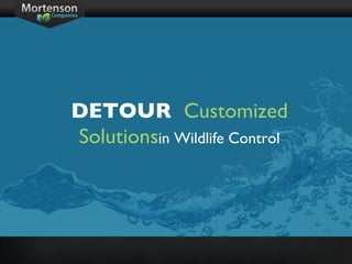 DETOUR  Customized Solutions in Wildlife Control 