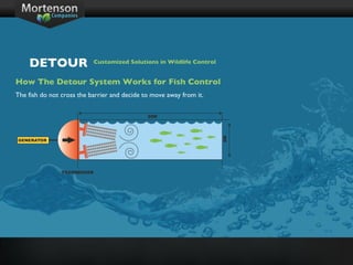 How The Detour System Works for Fish Control The fish do not cross the barrier and decide to move away from it. DETOUR Customized Solutions in Wildlife Control 