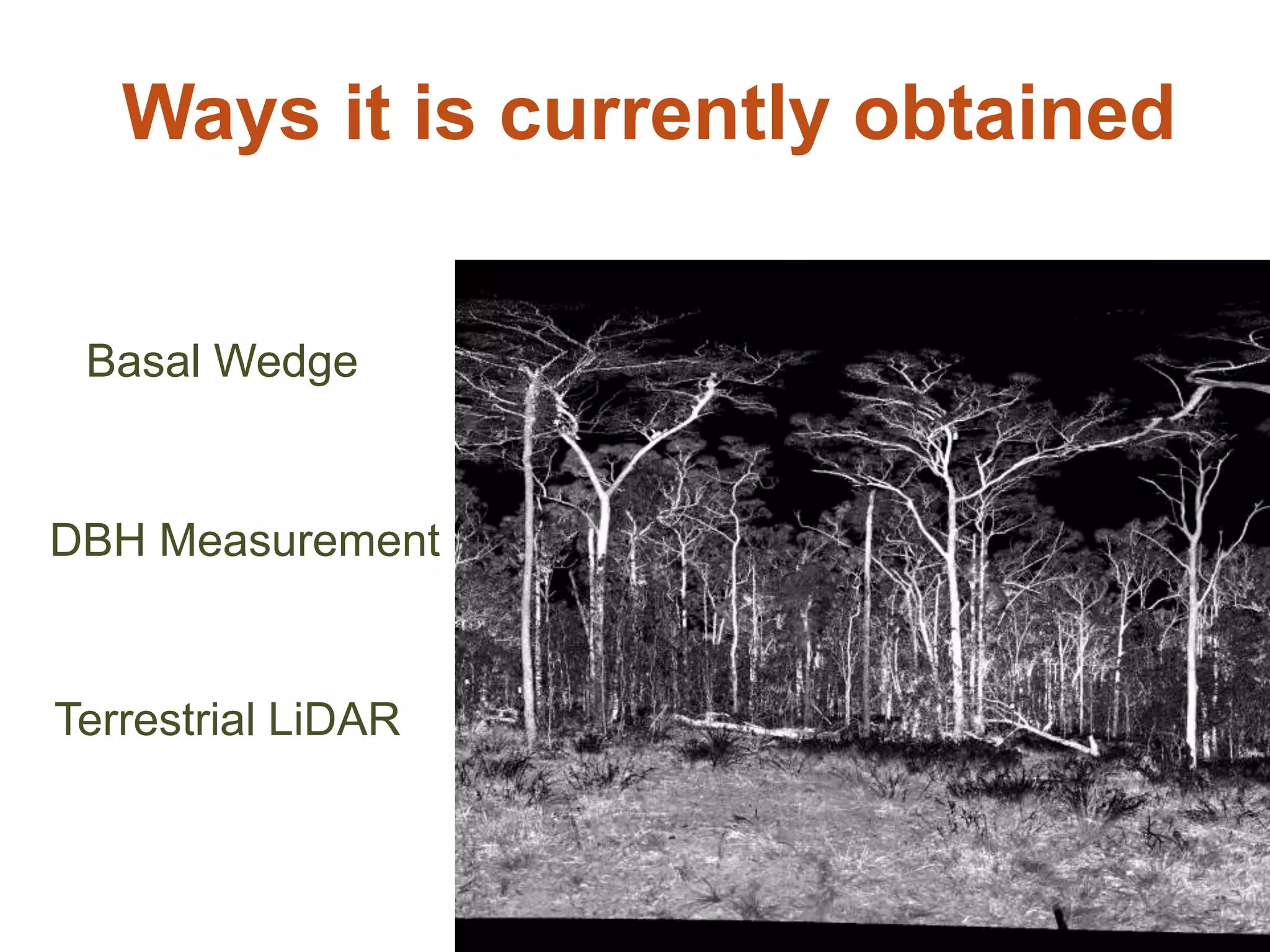 Ways it is currently obtained
10
5
Basal Wedge
DBH Measurement
Terrestrial LiDAR
 