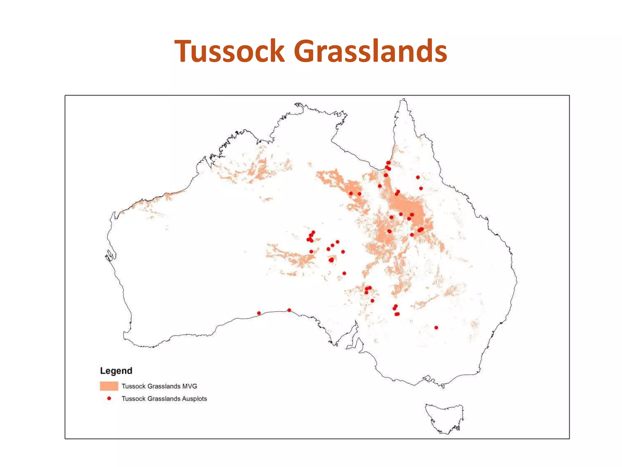 Tussock Grasslands
 