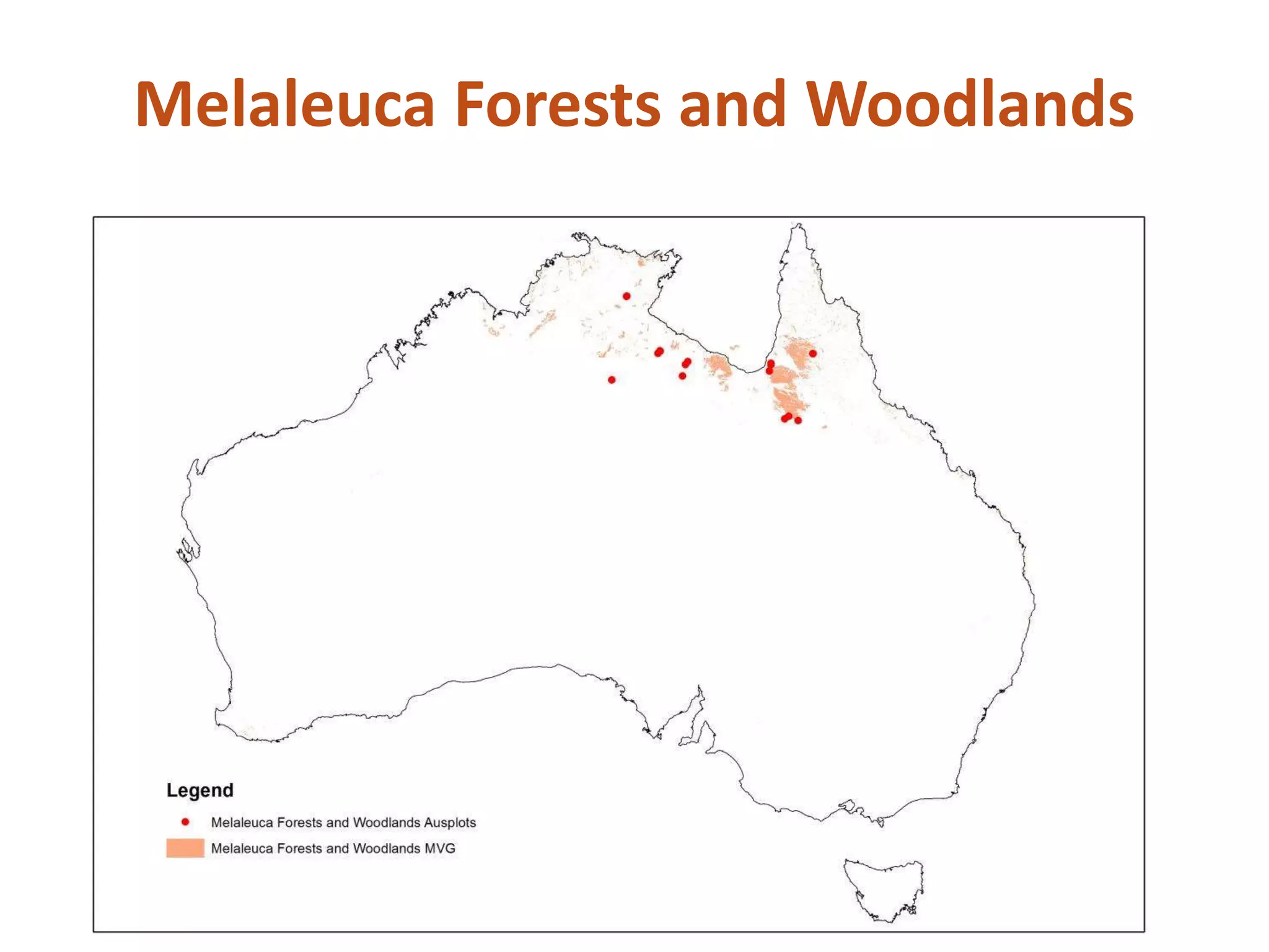 Melaleuca Forests and Woodlands
 