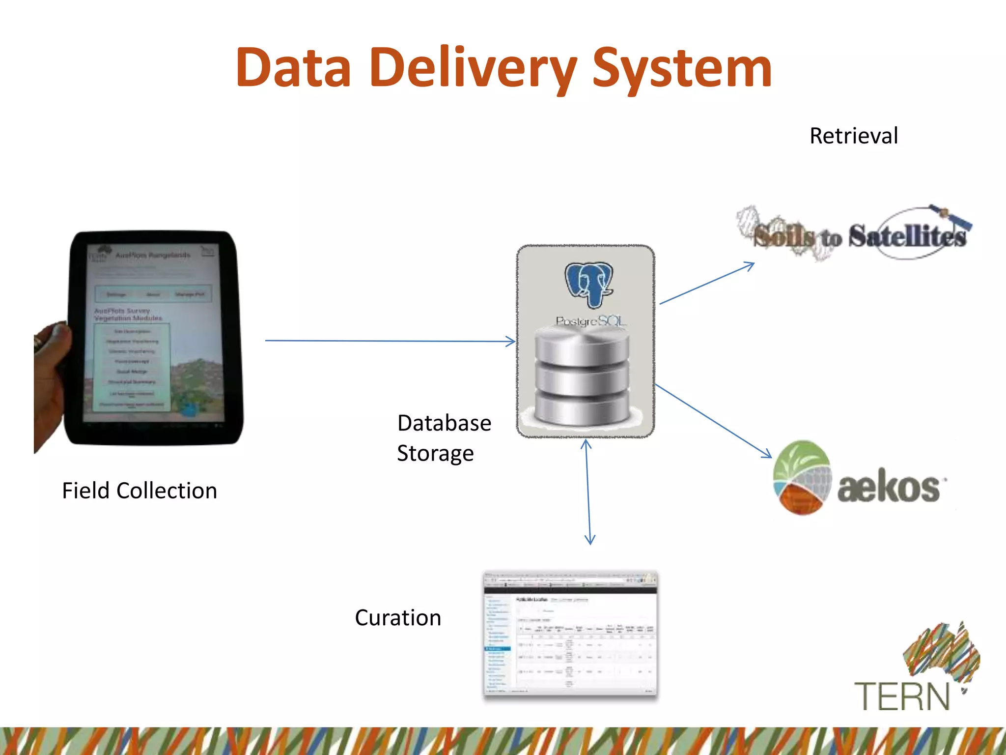 Data Delivery System
Field Collection
Curation
Database
Storage
Retrieval
 