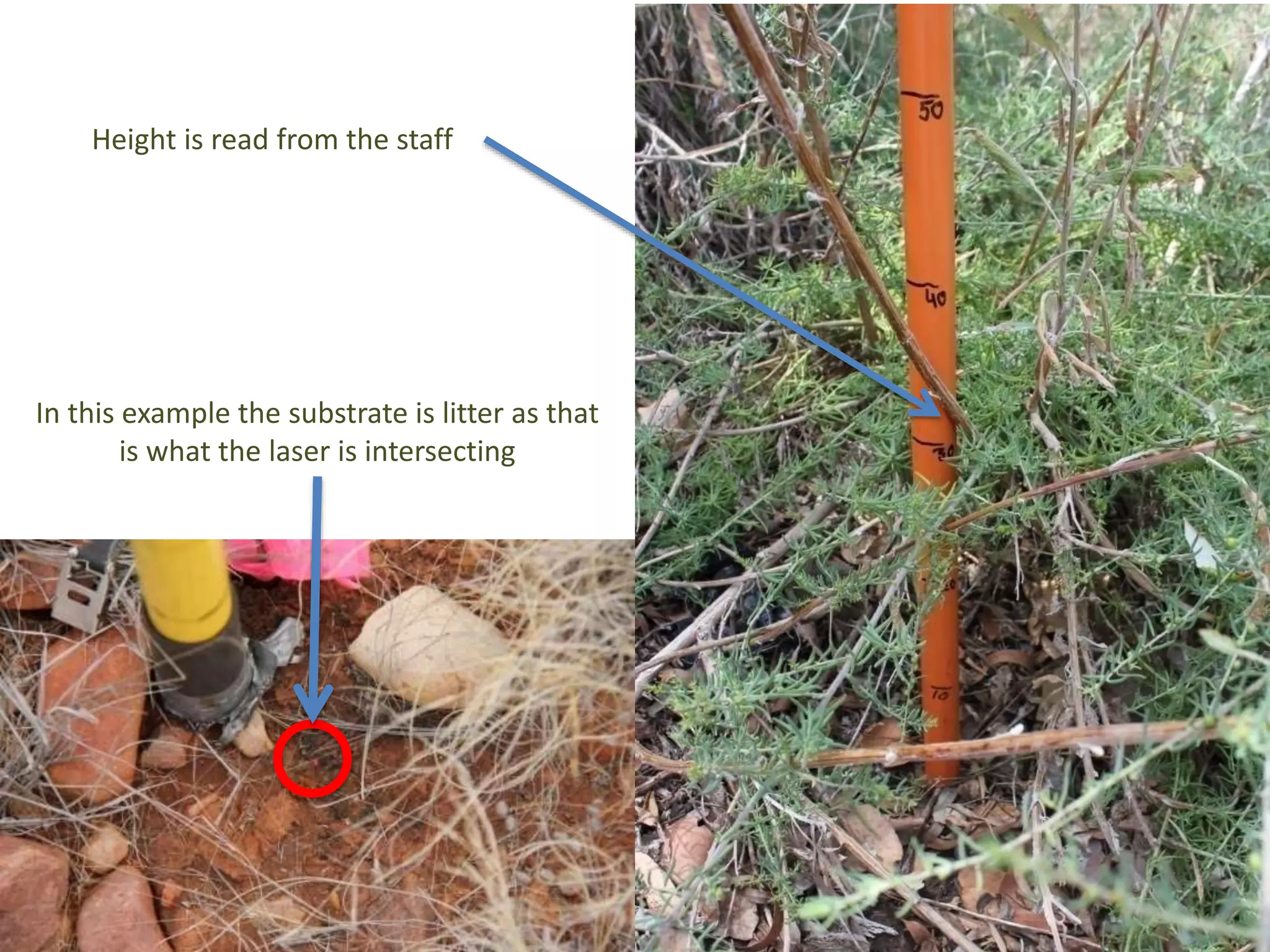In this example the substrate is litter as that
is what the laser is intersecting
Height is read from the staff
 